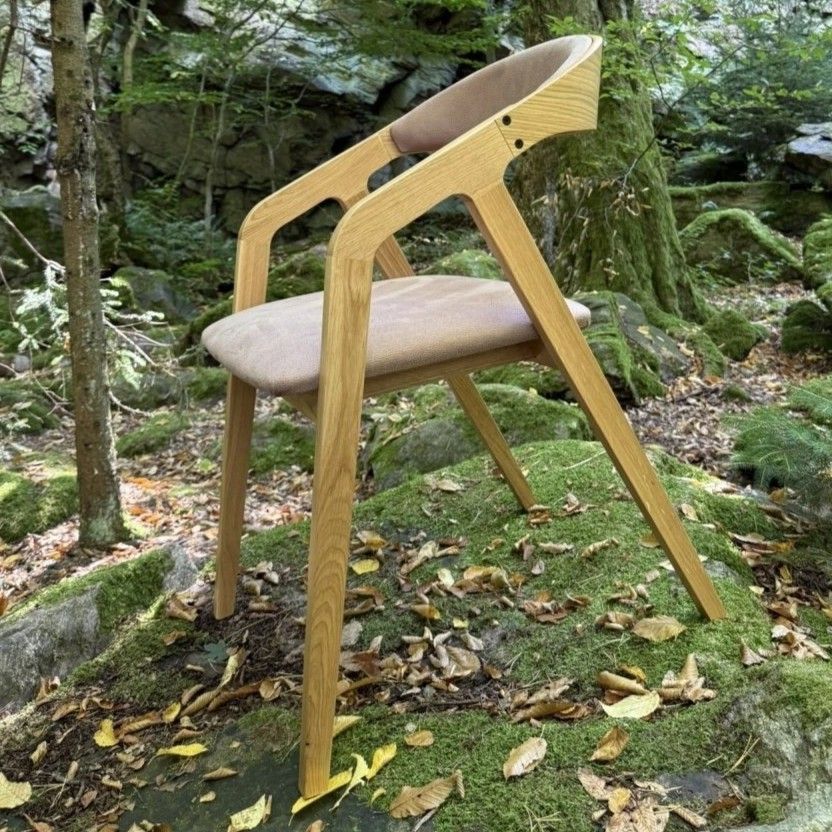 Židle Frame Soft 06-38 foto